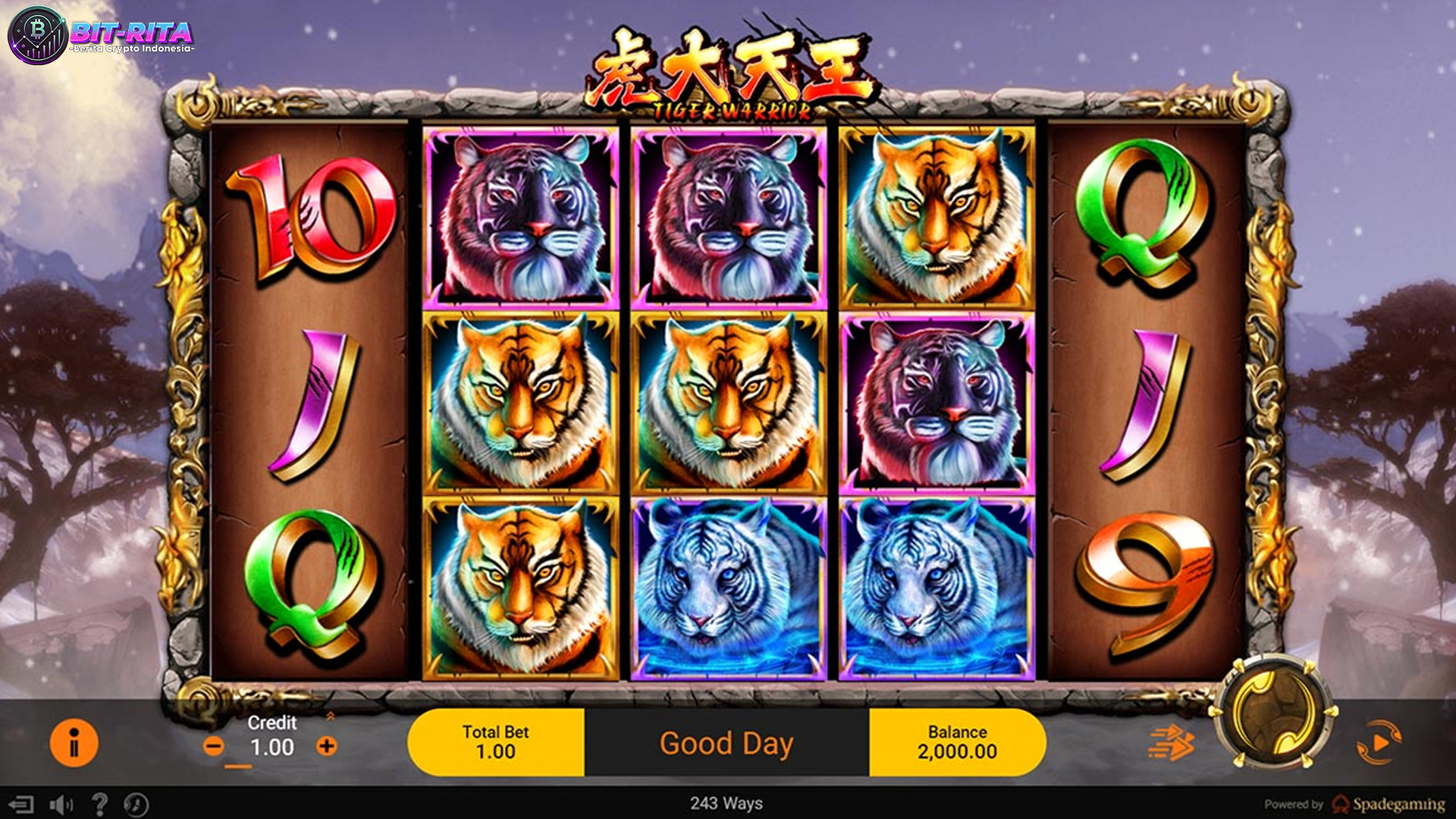 Game Tiger Warrior Kini Semakin Diburu oleh Pecinta Judi Slot