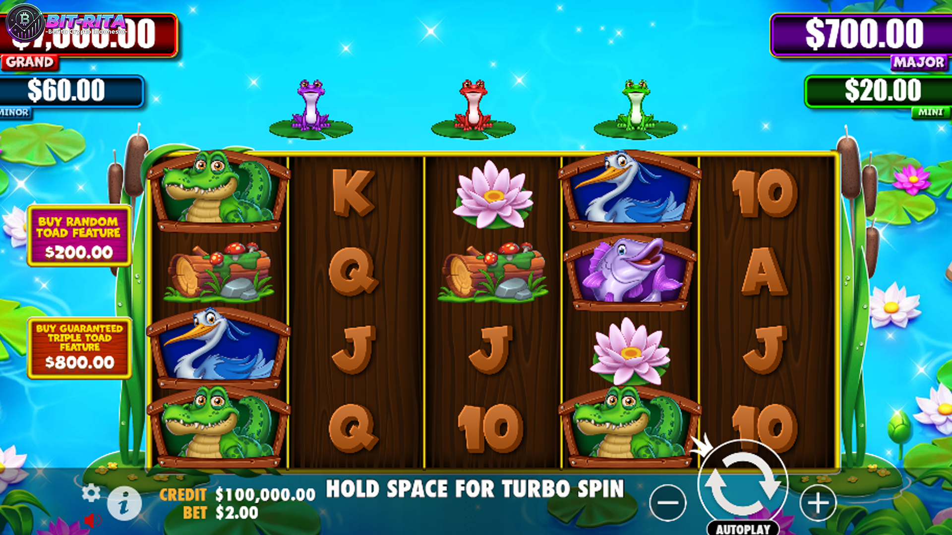 Siap Kaget Tiny Toads Banjir Jackpot Kodok di Slot Rtp8000