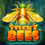 Auto Rich! Main Sticky Bees di Ruby8000 Login, Wd Lancar Jaya