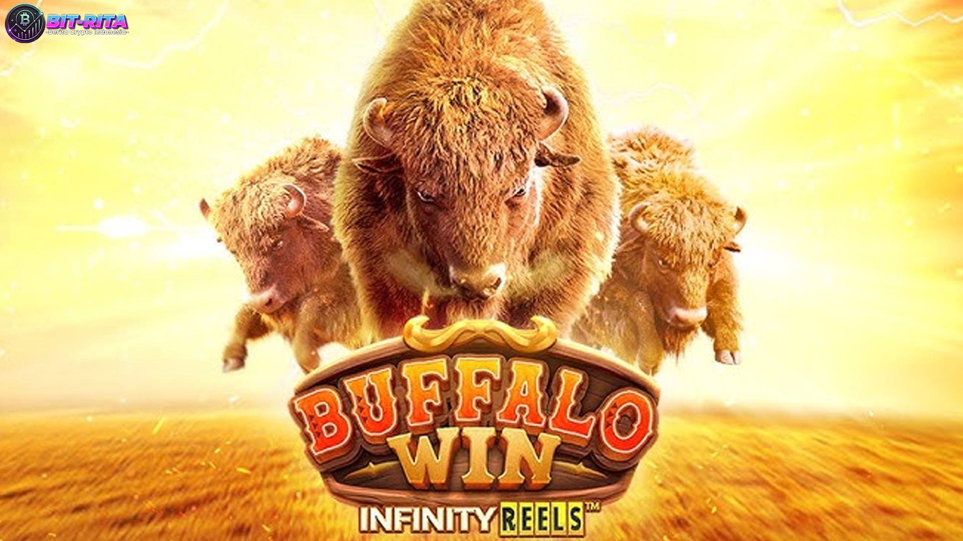 Situs Terpercaya Main Buffalo Win dan 3 Alasan Banyak Dicari