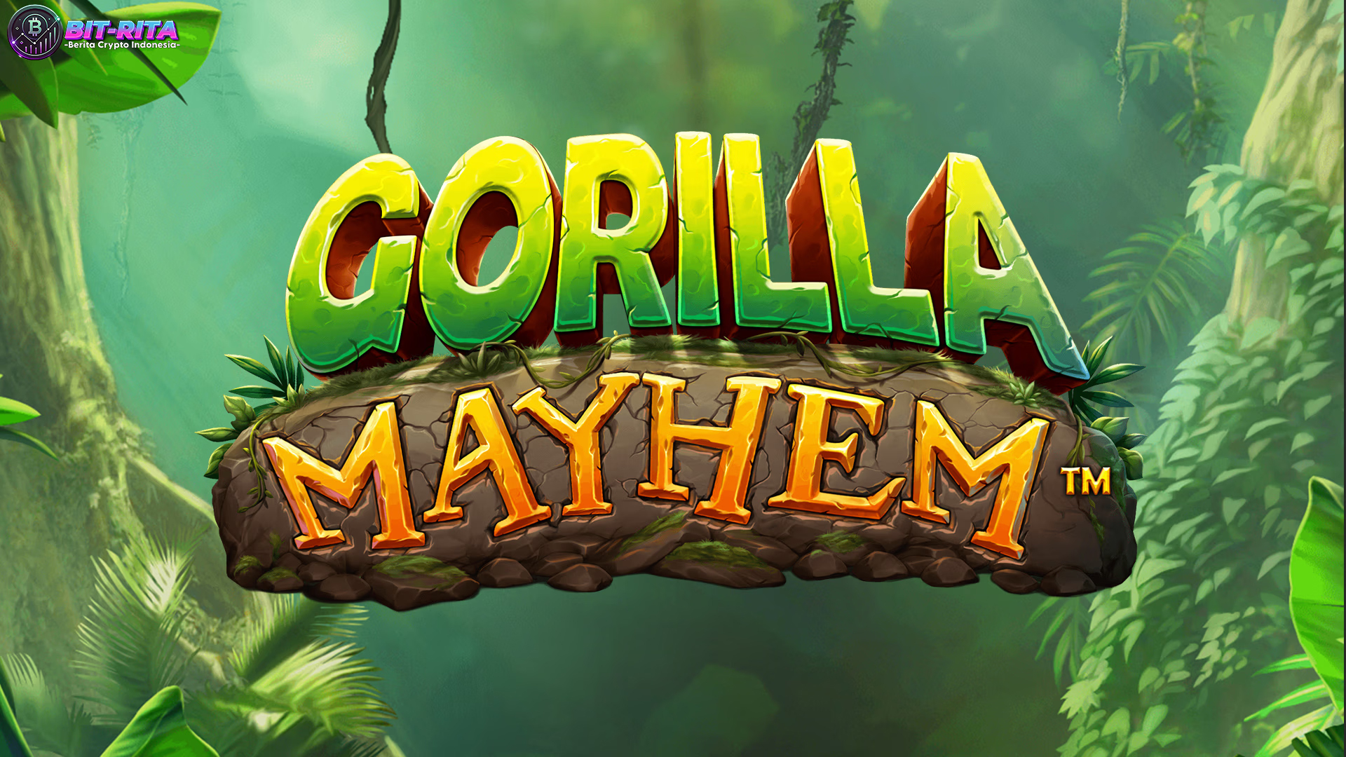 Cnnslot 2025 Informasi Lengkap Gorilla Mayhem untuk Slotter