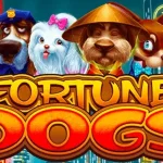Slot Online Fortune Dogs: Intip 5 Elemen Pentingnya Sekarang