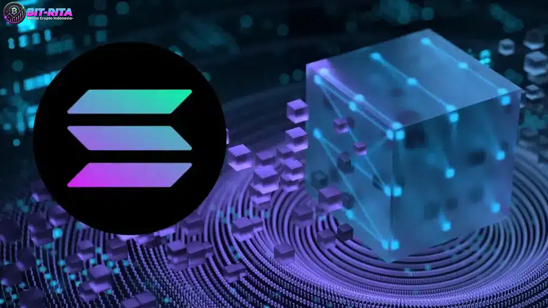 Solana Dan 5 Risiko Penurunan Harga Meski Diborong Institusional