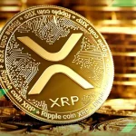 XRP Burn Rate Turun 2 Persen: Hal Menarik yang Perlu Dicermati