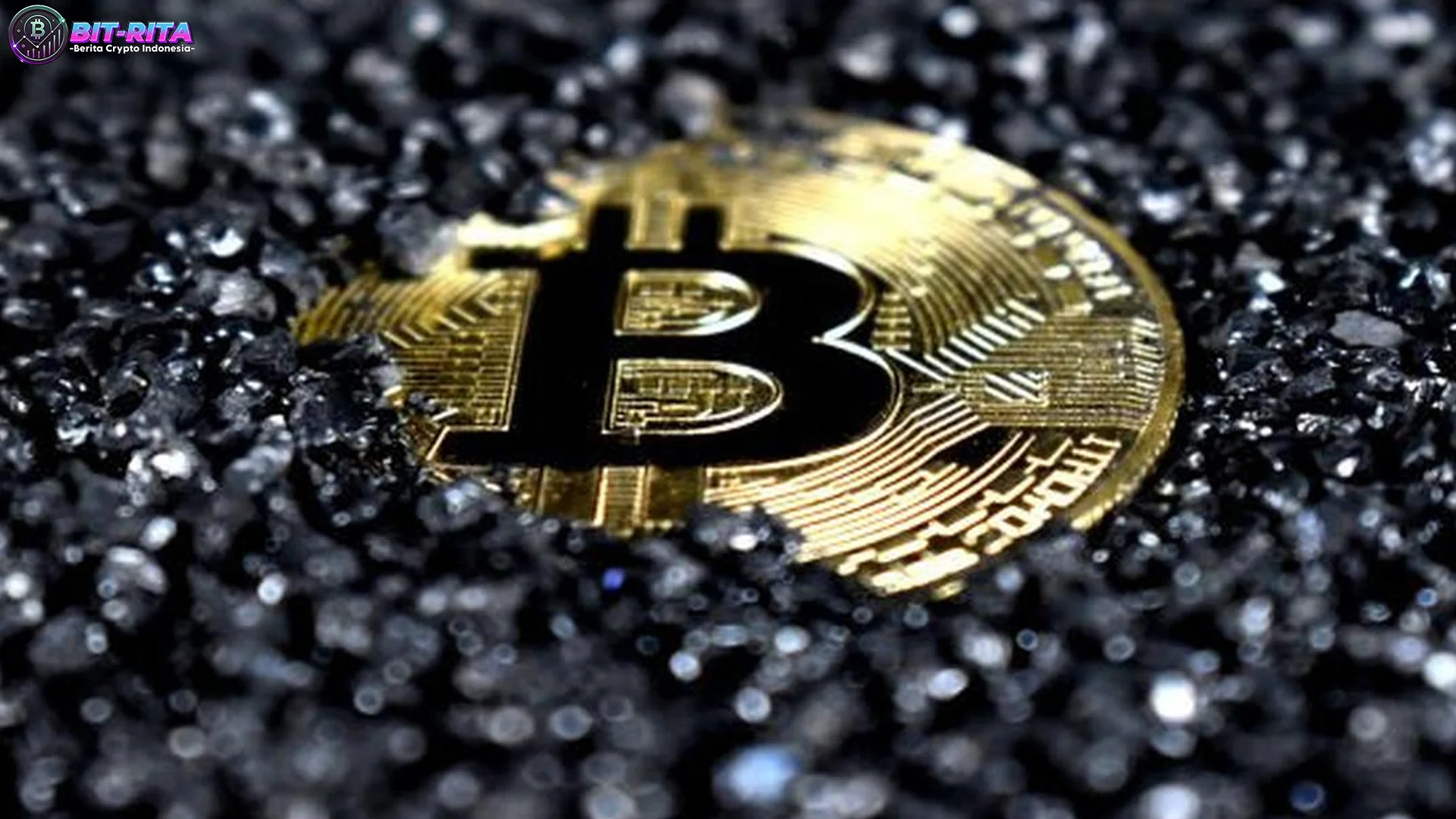 Prediksi Pengamat Tentang Harga Bitcoin Yang Turun 50 Persen