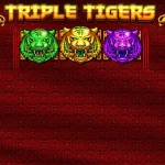 5 Hal Wajib Tau Soal Triple Tiger Biar Gak Salah Pilih Target