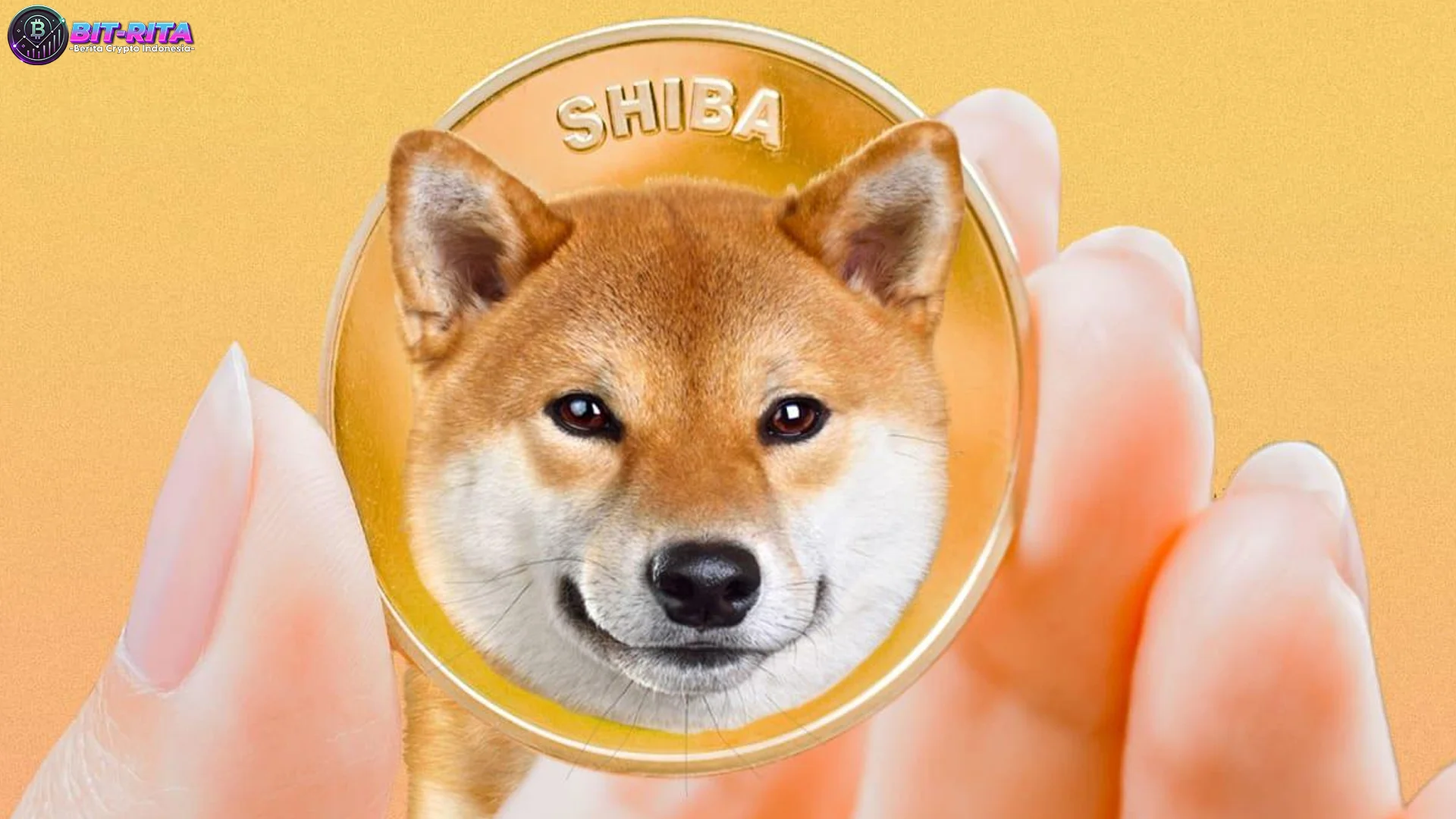 Bearish Shiba Inu Futures Terjadi Dalam Open Interest Turun 8%